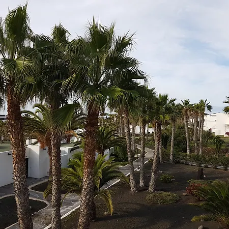 Apartamento Palmeras Garden