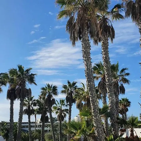 Palmeras Garden Playa Blanca (Lanzarote)