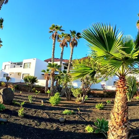 Palmeras Garden Apartmán